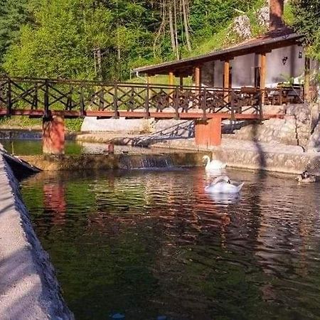 Valja Mare Moma Leilighet Golubac Eksteriør bilde