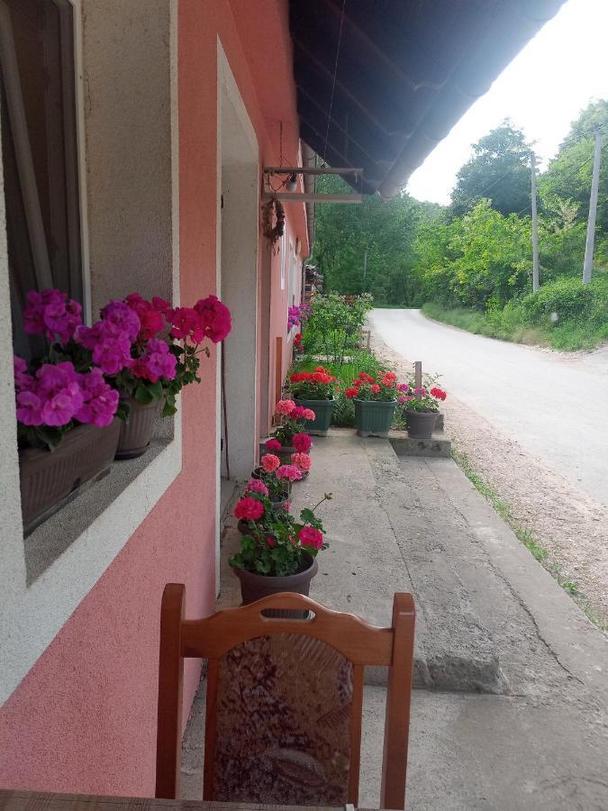 Valja Mare Moma Leilighet Golubac Eksteriør bilde